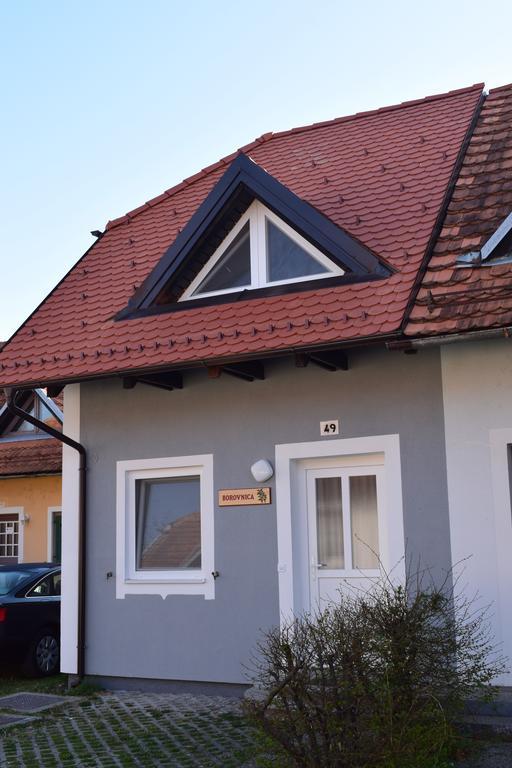 Borovnica Catez Apartment Catez ob Savi Exterior photo